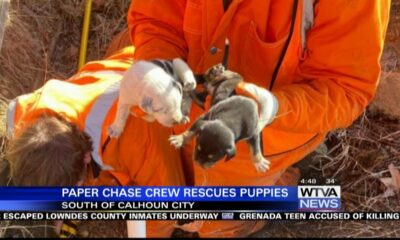 Calhoun County Sheriff needed a bit of help with a special rescue mission