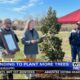 MFC receives grant to plant trees