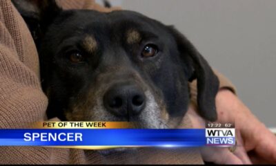 Pet of the Week - Spencer