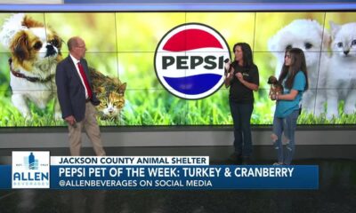 Pepsi Pet of the Week (11/7/23)