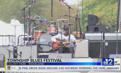 Township Blues Festival held in Ridgeland