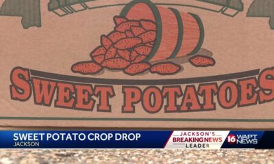 Sweet Potato Crop Drop