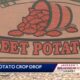 Sweet Potato Crop Drop