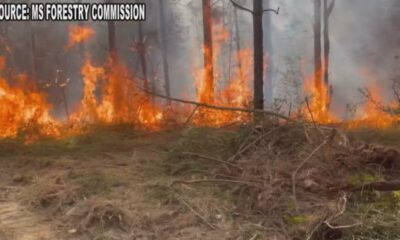 Mississippi Partial Statewide Burn Ban lifted