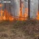 Mississippi Partial Statewide Burn Ban lifted