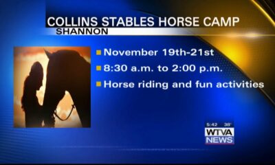 Collins Stables holding horse camp