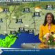 News 11 at 10PM_Weather 11/22/23