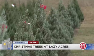 LAZY ACRES CHRISTMAS TREES