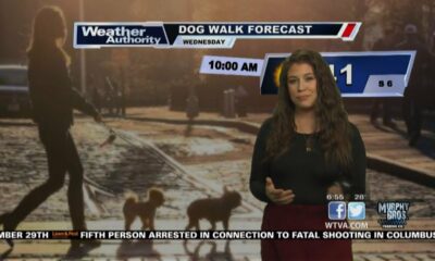 Dog Walk Forecast - Nov. 29, 2023