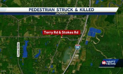 Man dies after he was hit by vehicle