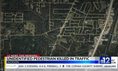 Pedestrian hit, killed on Terry Road in Jackson