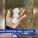 WTVA viewers share weather photos and videos