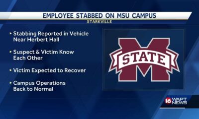 Suspect in custody in MSU stabbing