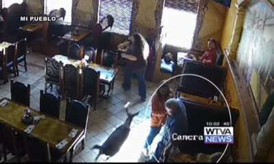 FULL STORY: Deer crashes into Pontotoc restaurant