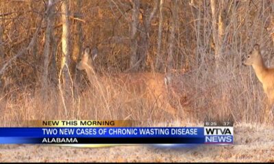 Alabama confirmed two new cases of Chronic Wasting Disease