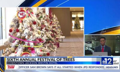 Annual Festival of Trees held in Jackson