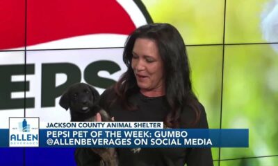 Pepsi Pet of the Week: Gumbo (12/19/2023)