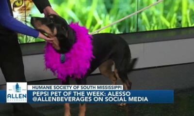 Pepsi Pet of the Week: Alesso (12/26/2023)