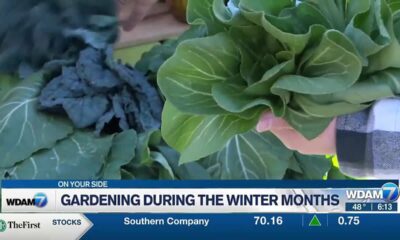 Gardening during the winter months