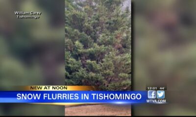 Snow flurries seen Friday morning in Tishomingo County, Mississippi