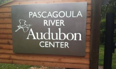 Pascagoula River Audubon Center Holding Winter Camp for Kids