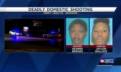 JPD  is looking for suspects in a domestic shooting