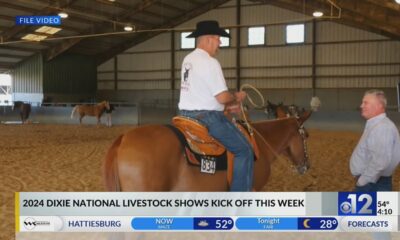 2024 Dixie National Livestock Shows kick off this week