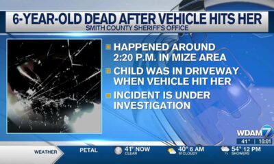 Smith County 6-year-old struck, killed in own driveway