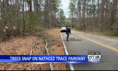 Weather knocked down some trees in north Tupelo