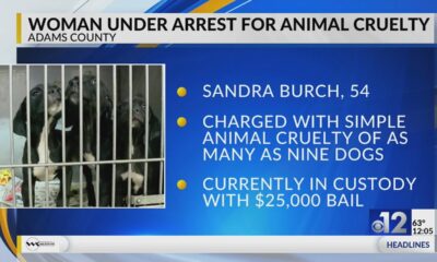 Adams County woman charged with animal cruelty