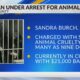 Adams County woman charged with animal cruelty