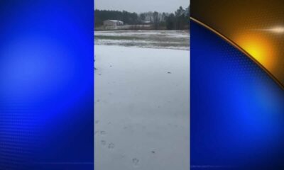 Pets enjoying the snow on Tuesday - Part 1