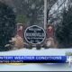 Booneville saw heavy snow fall on Tuesday