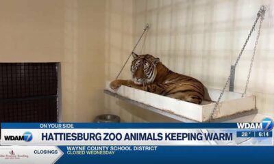 Hattiesburg Zoo animals keeping warm