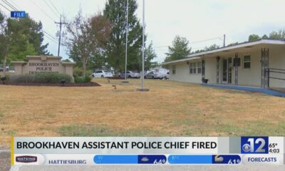 Brookhaven assistant police chief fired