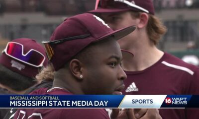 MSU baseball and softball previews