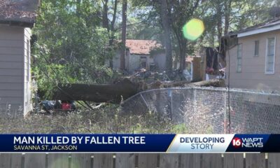 Man Killed By Fallen Tree