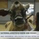 59th Annual Dixie National Livestock Show and Rodeo