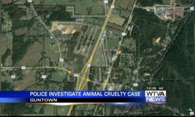 Guntown Police investigate animal cruelty case