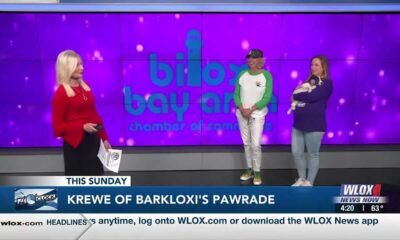 Happening February 4: Krewe of Barkloxi PAWrade