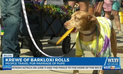 Krewe of Barkloxi Parade rolls through Biloxi