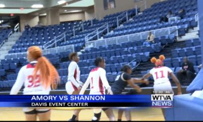 Shannon girls defeat Amory to move on to next round of district tournament