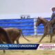 Rodeo Economic Impact