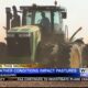 Weather conditions affect Mississippi pastures