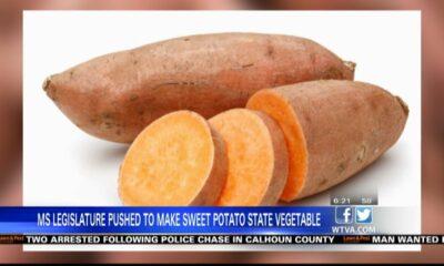 Mississippi legislators are pushing to make the sweet potato the state vegetable