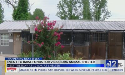 Event to raise funds for Vicksburg Animal Shelter