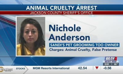 Gautier pet groomer arrested for animal cruelty