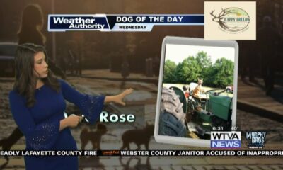 Dog Walk Forecast for Feb. 21- Dora Rose