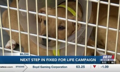 Gulf Coast Community Foundation taking next steps in Fixed for Life campaign