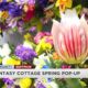 Fantasy Cottage Flowers and Gifts Pop Up